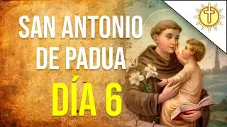 Novena a SAN ANTONIO DE PADUA dia 6✝️