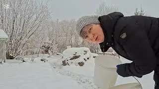 Быстренько на хуторе всё доделала и домой.