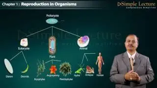 2nd PUC / Class 12 Chapter 1 Reproduction in Organism