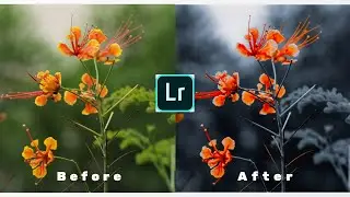 How to edit nature photography using Lightroom CC||Editing||tutorial||