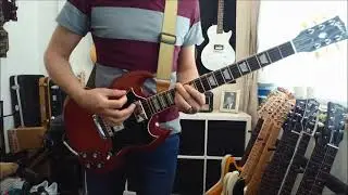 Lions Law - It's a Shame - Guitar Cover