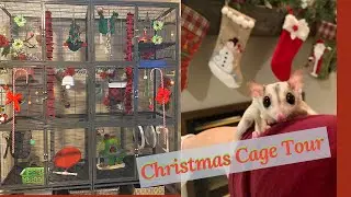 Christmas Cage Tour| easy cheep DIYS for your Christmas cage