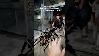 HORRIFYING Survival: Woman Trapped with Tail Spider in Chernobyl! #spider #nightmarefuel #chernobyl
