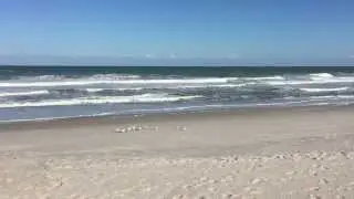 Pelican Beach Park Satellite Beach Florida Breezy Day Ocean Video