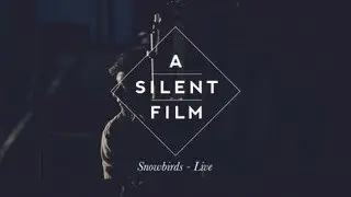 Where Snowbirds Have Flown // The Sycamore Tapes // A Silent Film