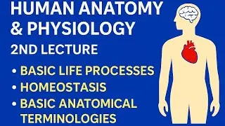 HAP-1, Basic life processes homeostasis and basic anatomical terminologies, U-1 P-2