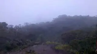 Blue Mountain Peak.