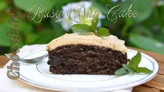 Chocolate Busy Day Cake | Easy Scratch Cake | One Bowl Dessert