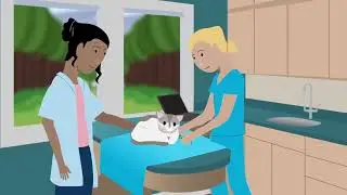 A Fear Free Approach to Feline Wellness Visits