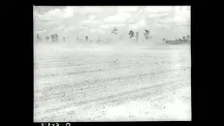 Greek American Folk Music (FL): Zylevo
