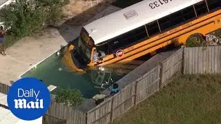 Florida school bus crashes into a pool avoiding a cat in the road