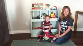 DIY Vertical Bin Toy Box Shelf