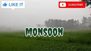 Punjab monsoon ❤️ #punjabi vlog #latest vlog #trending vlog #new punjab #farming #2026 