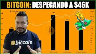 🟡BITCOIN BUSCARA los $46K PERO DERIVADOS RESISTEN en $42K