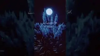 Reminder Before Death