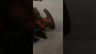 Toothless insults the red death #how to train your Dragon ￼