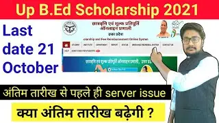 up b. ed scholarship 2021 ll up b.ed scholarship 2021 ll up b.ed scholarship latest news.