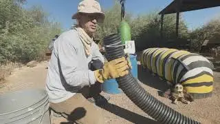 Burrowing Owl Artificial Burrow Training Video