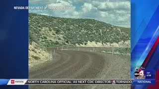 Crickets causing slick roads in Nevada