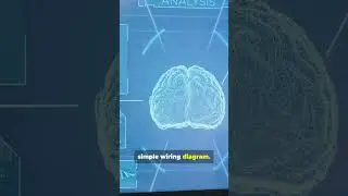 Top 5 Mysteries Science Still Can&rsquo;t Explain