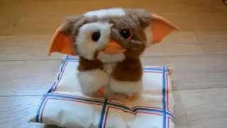 The cutest Gizmo figure ever! (Jun Planning / Sideshow Collectibles Gremlins Gizmo statue review)
