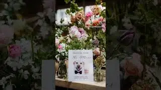 Destination wedding in Ireland