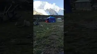 Laila peak Base camp