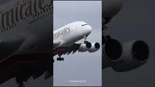 Due to the negligence of an airplane pilot, all the passengers lost their lives.#plane #airplane