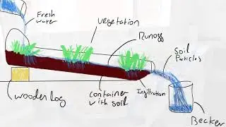 The impact of methods as vegetation and organic matter barriers to prevent soil erosion...