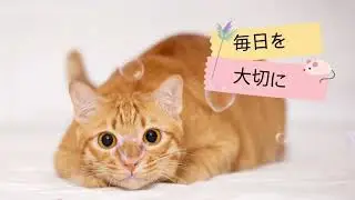 カリンバ即興演奏♡毎日を大切に💕2026.1@NatsumiOriginalmusic 