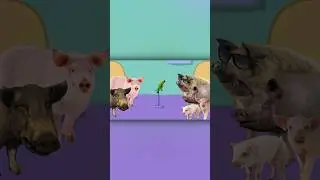 Real life Peppa Pig Episode #4
