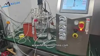 Bailun 10L Single layer glass bioreactor anaerobic fermentation system #bioreactor #fermenter