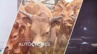 PECT - MONTALEGRE 2025