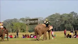 Elephant Polo (WION Edge)