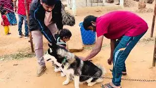 Cows & Dog Section at Jeeva Park 🐄🐕 | Family Nature Park Near Nandi Hills Bangalore