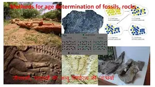 Methods for age determination of fossils, rocks _जीवाश्म चट्टानों  का आयु निर्धारण_