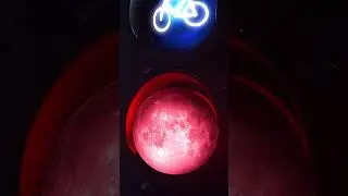 the moon never asks why you&rsquo;re awake.