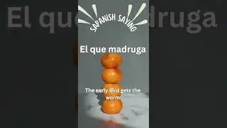 Learn Funny Spanish Sayings in Seconds! | Everyday Spanish Phrases  #languagelearning #LearnSpanish