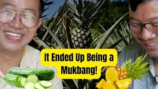 Unboxing the Garden of Jarnel II Mukbang – Pineapple & Cucumber Feast from His Farm!