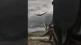 Ancient Air Monsters! Bigger Than a Plane? 😨 #flyingmonsters