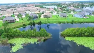 8408 Lake Burden Circle Windermere Florida                  Upbeat