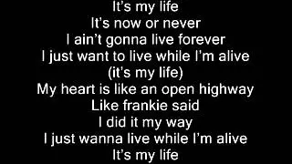 Bon Jovi - It´s My Life [Lyrics]