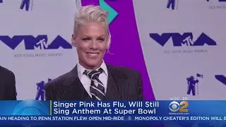 Singer Pink Has Flu, Will Still Sing National Anthem At Super Bowl