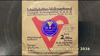 USA Danceband: TOM CLINES - JACK CARNEY: Every Day Away From You 1929
