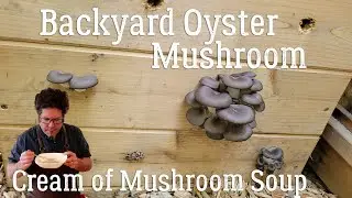 Backyard Oyster Mushroom Cream of Mushroom Soup