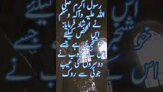 Daily Hadees Mubarak ﷺ in Urdu | Sahih Bukhari short video #hadith #trendingshorts #viralshorts