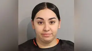 florida pizza delivery driver who stabbed pregnant woman over 2$ Tip #livestream #streaming streami