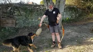 Entrainement cible mouvante avec le Rodeur et Floki le berger !