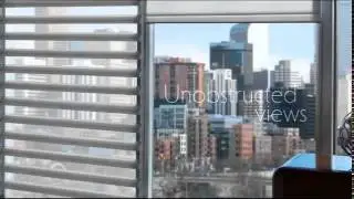 Pirouette&reg; Shadings by Hunter Douglas at Shutter Guy Austin   Part 2