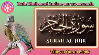سورۃ الحجر کامله‎ت | أروع تلاوات القارئ ❤️ | Surah    Al Hijr🌹🤲🌹